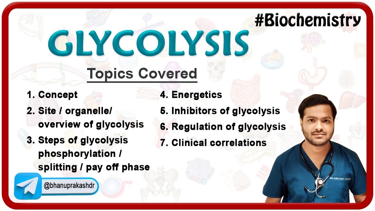 Glycolysis : Steps, Energetics, Inhibitors, Regulation : MBBS 1st year Biochemistry