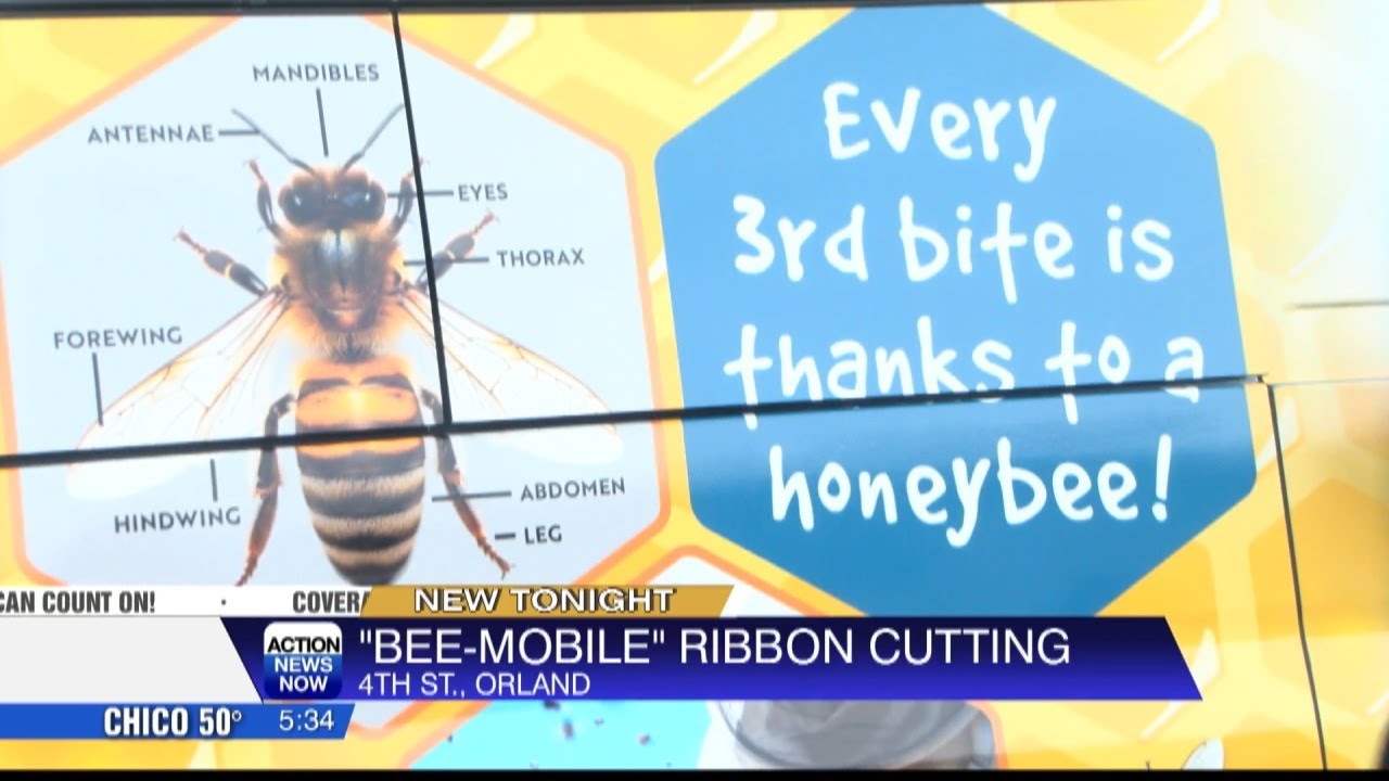 Ribbon-cutting ceremony held for new Bee-mobile at Honeybee Discovery Center in Orland