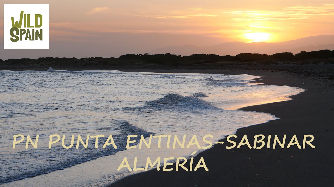 Wild Spain - Cap&iacute;tulo 84 - Paraje Natural Punta Entinas-Sabinar, Almer&iacute;a.