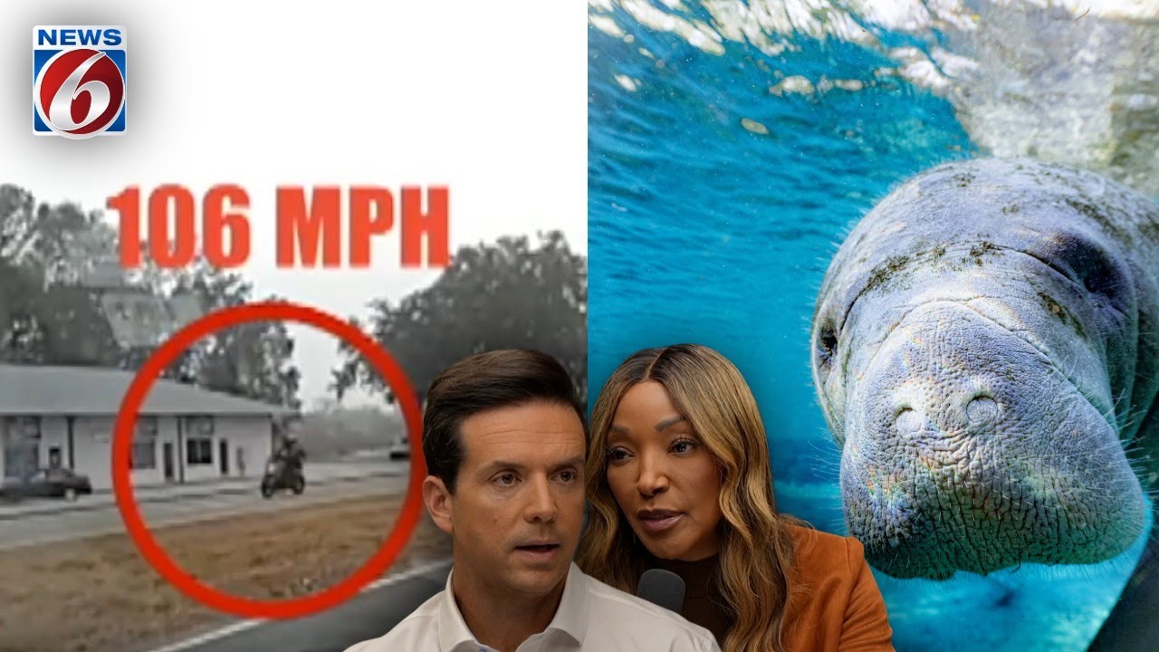 Frigid Temps in Florida Means Manatee Action! & Getting Caught Speeding 106 MPH?!