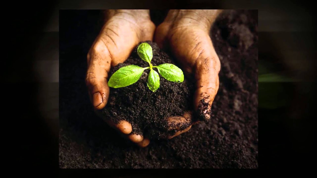 Roam Design LLC Promo