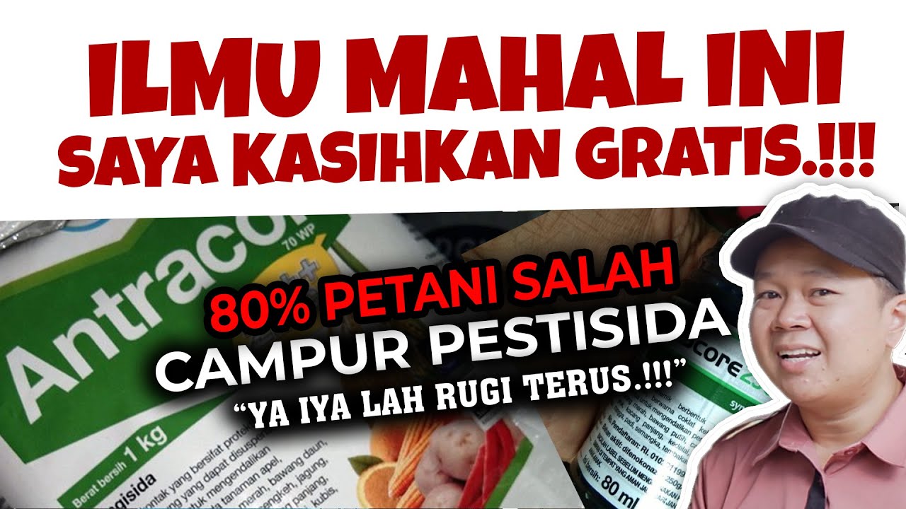 YA IYA LAH RUGI TERUS.❗❗❗ KESALAHAN MENCAMPUR PESTISIDA YANG SERING DILAKUKAN PETANI