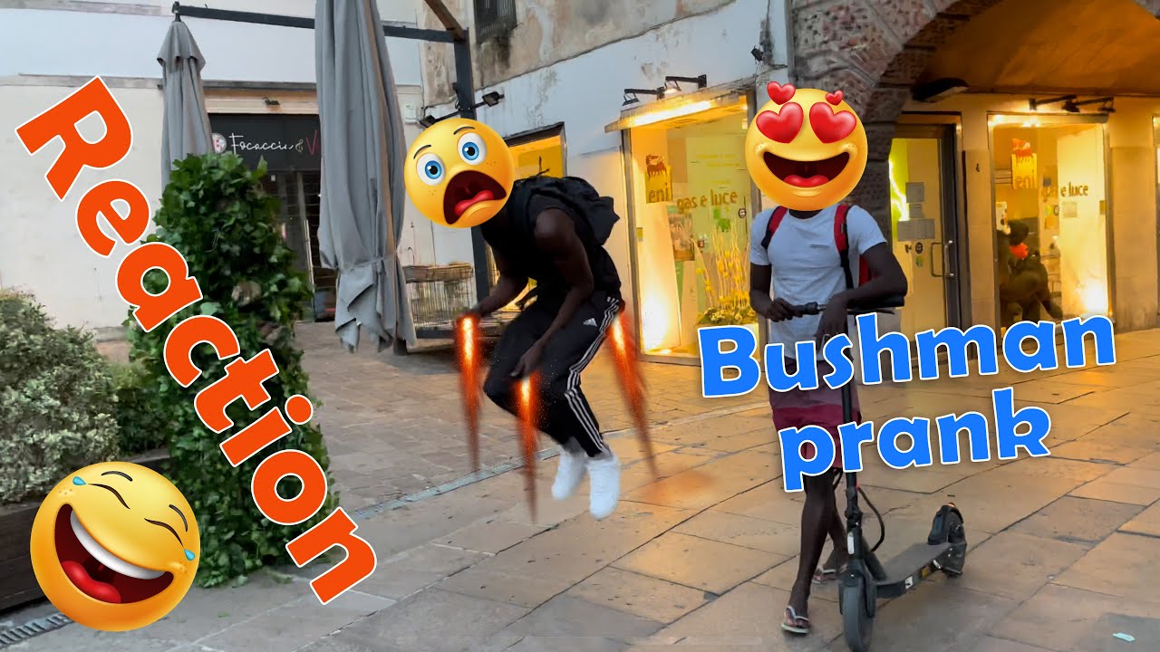 bushman best reactions