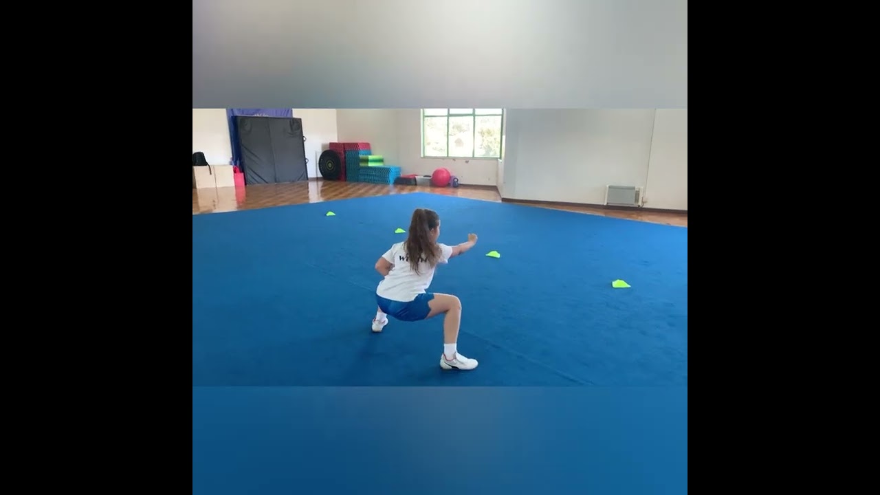 Wulin Wushu Team