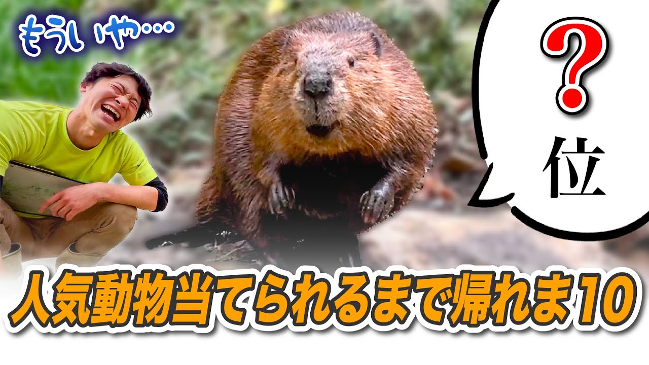 【結果発表】人気動物当てられるまで帰れま10やったら飼育員も驚きの大混戦！？【バイオパーク総選挙2023】