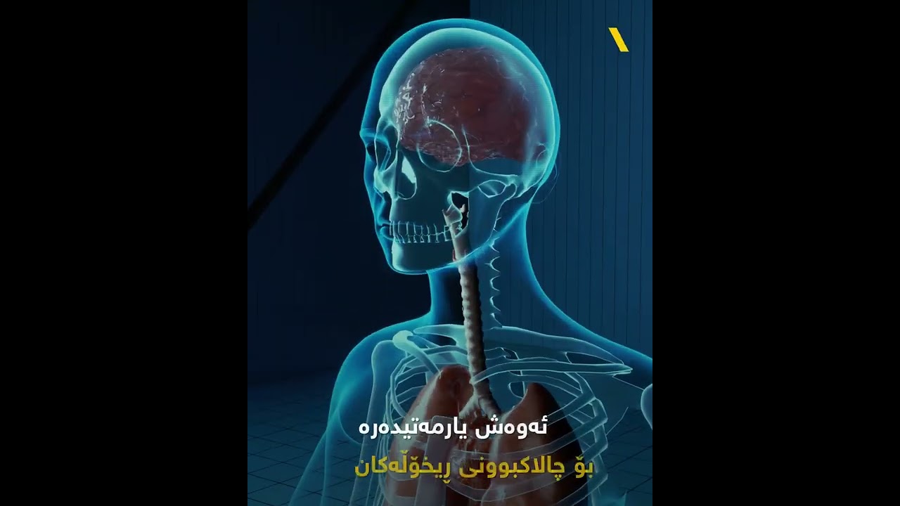 سوودەکانی شێلم....