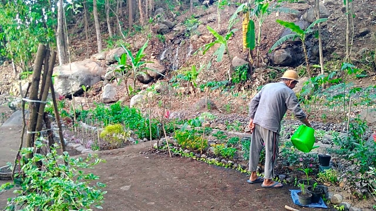 Seorang Kakek Usia 101 Tahun Lebih Berhasil Menyulap Sebuah Lembah Laksana Surga - LEMBAH HARAPAN