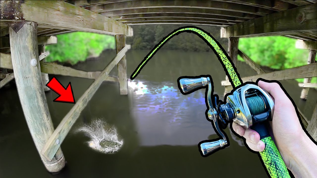 Fishing a LOADED Golf Course Pond for BIG BASS! (EPIC)