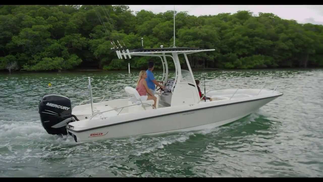 Boston Whaler 240 Dauntless