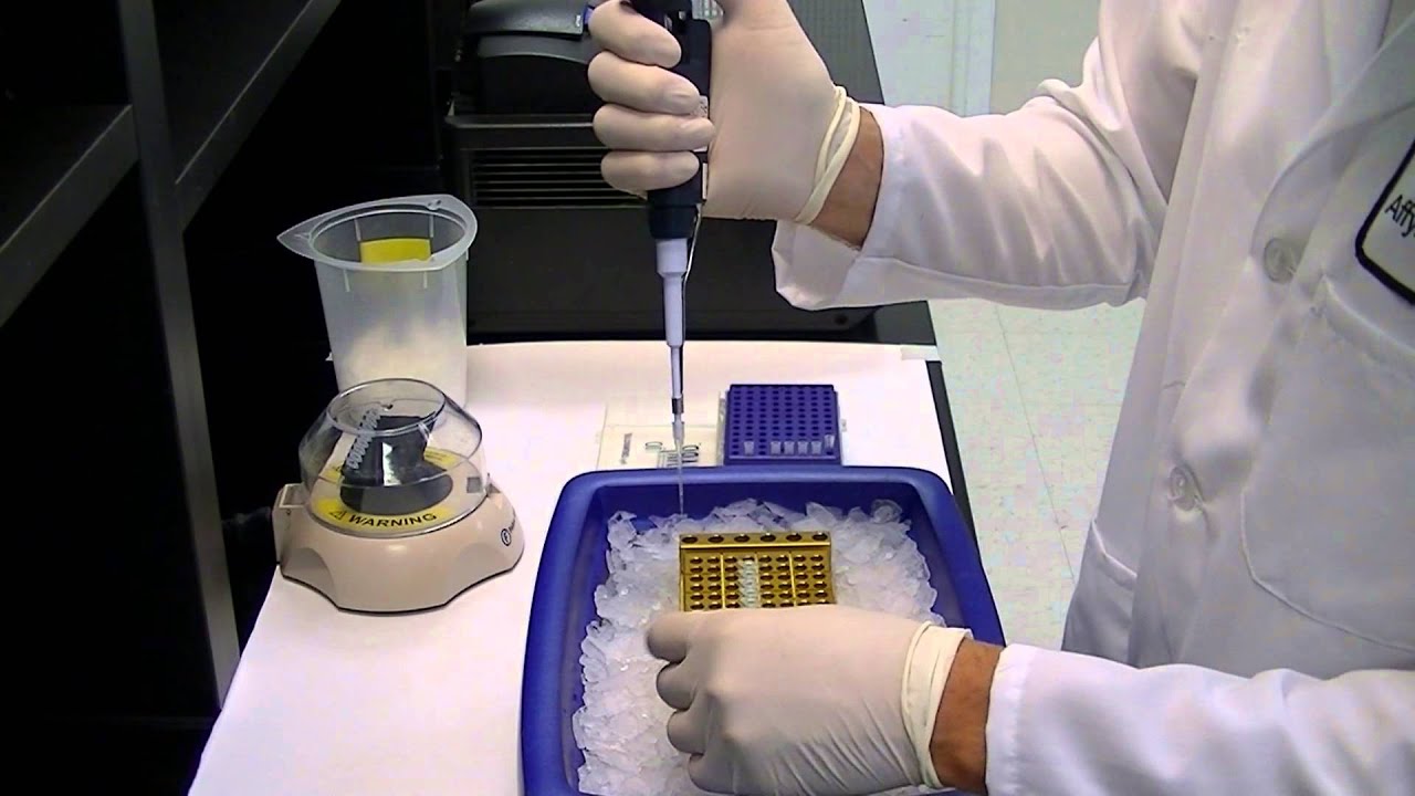 ExoSAP-IT Reagent -- enzymatic PCR cleanup with no sample loss