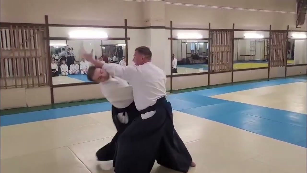 International Aikido Seminar, Dmitrii Vinnik sensei, St. Petersburg 2025 (3/4)