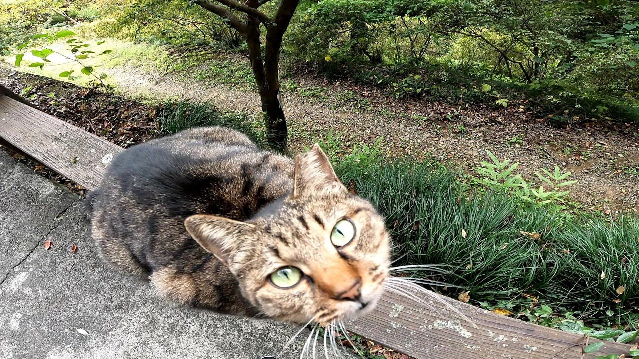 押すなよ！絶対押すなよ！