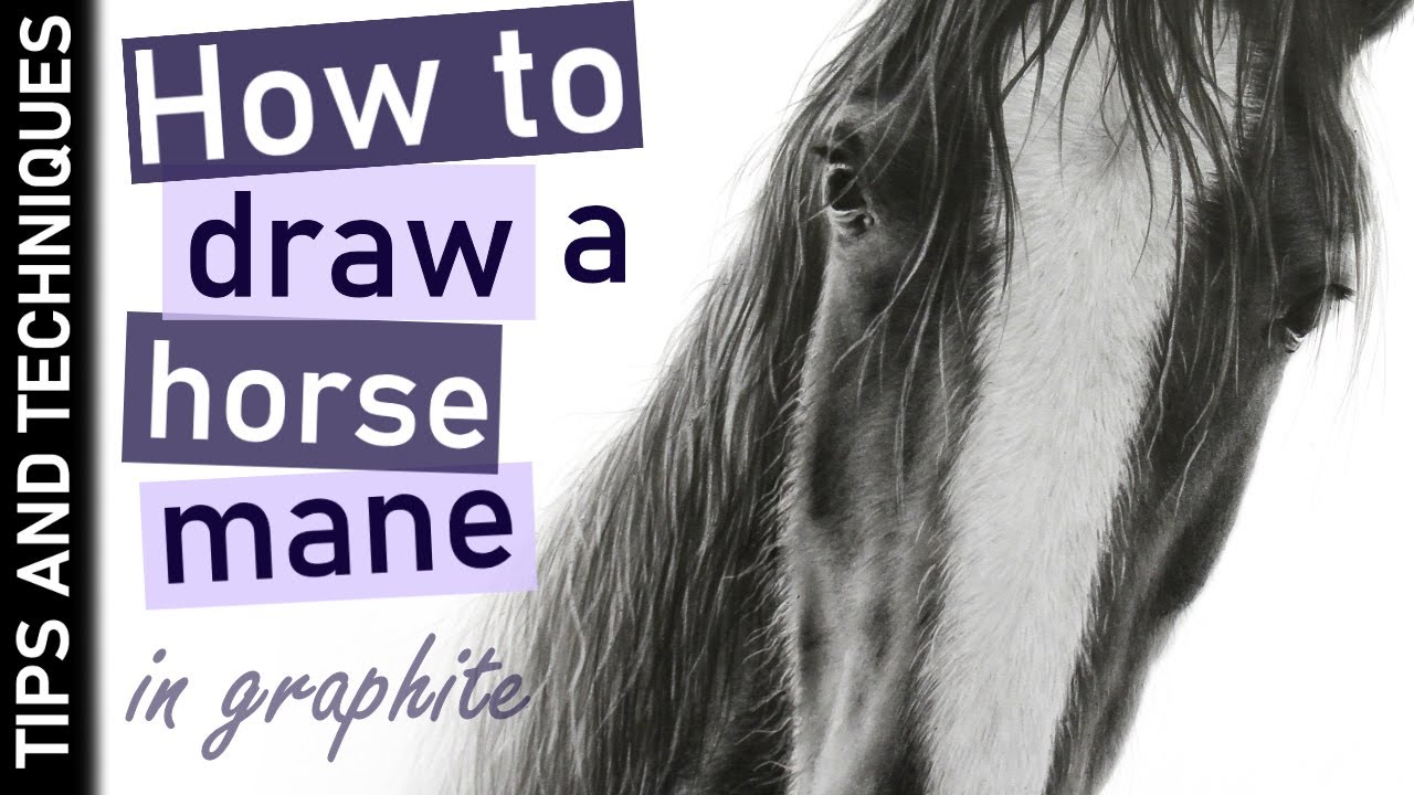 How to draw a horses mane in graphite | Drawing hair in graphite