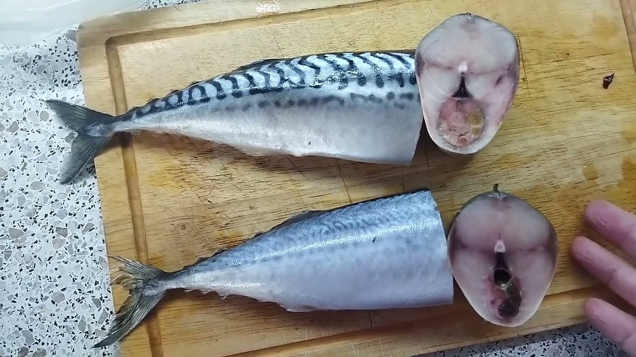 Скумбрия и макрель из светофора, есть ли разница. Консервы в автоклаве.