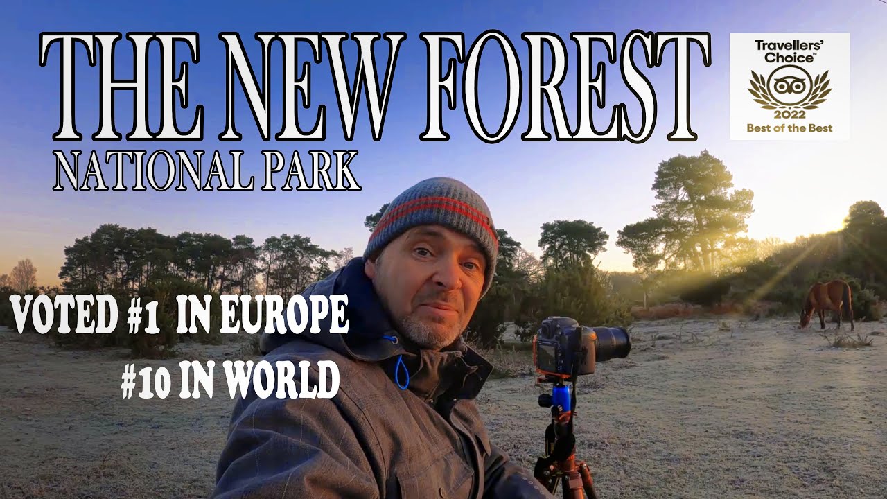 PHOTOGRAPHING  BEST NATIONAL PARK IN EUROPE | THE NEW FOREST  | LANDSCAPE PHOTOGRAPHY