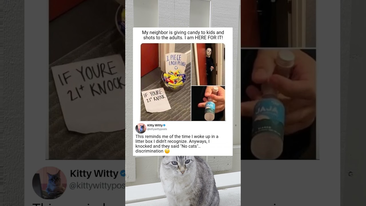 Candy For Kids, Chaos For Grownups