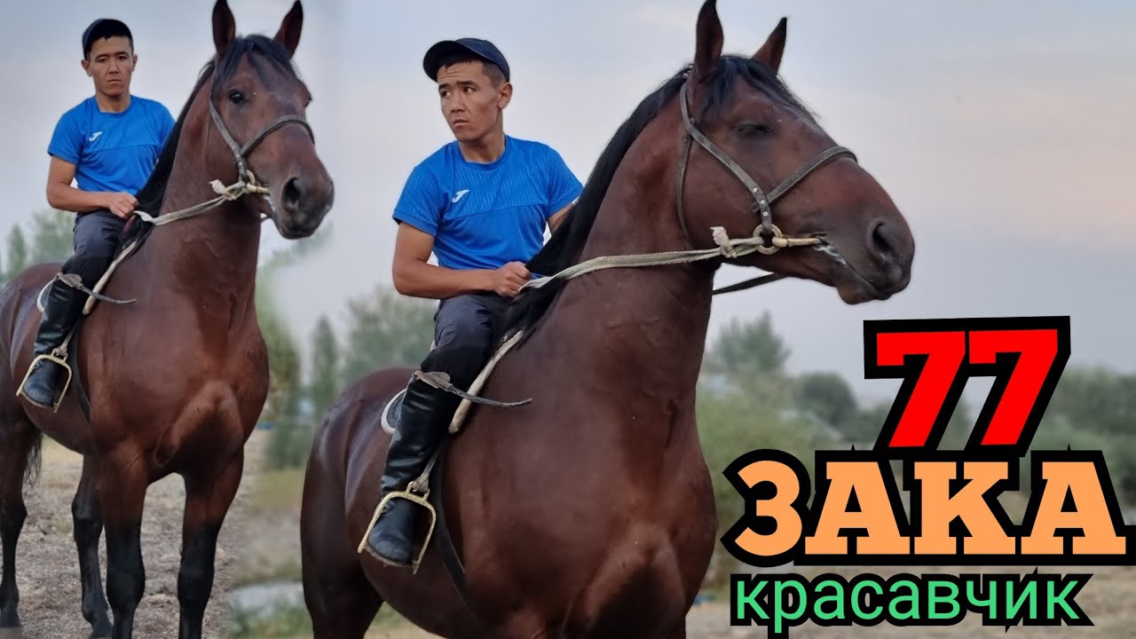 Баары көргүсү келет КРАСАВЧИКТИ 🇰🇬 77 Закага келди