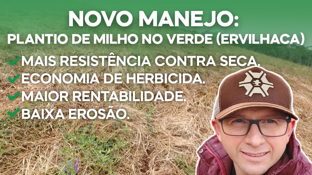 Novo Manejo: Plantio de Milho no Verde (ERVILHACA) Economia Resistência e Maior Rentabilidade(v.130)