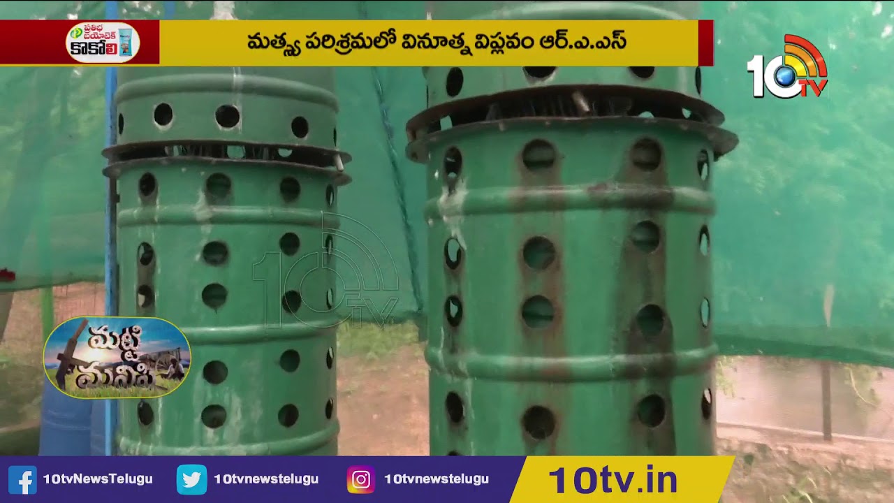 ఆర్‌ఏఎస్ పద్ధతిలో చేపల పెంపకం | Recirculating Aquaculture System | Matti Manishi | 10TV News