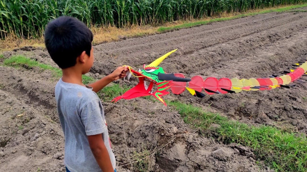 Playing mini dragon kites