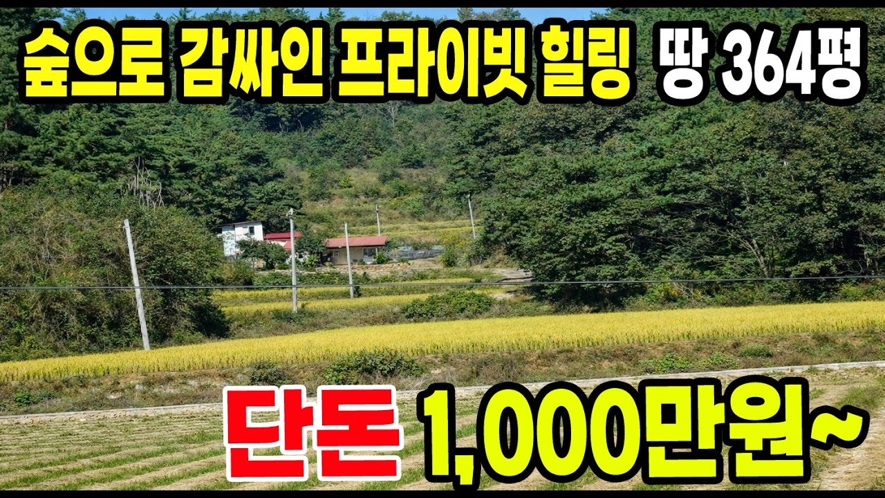 숲으로 감싸인 주말농장으로  딱 좋은 남향 힐링 땅
