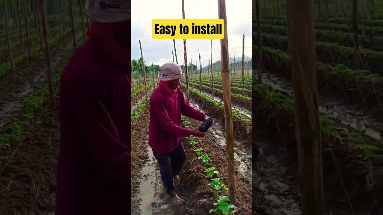 Trellising net #farmiliavlogs #farming #garden #trellis