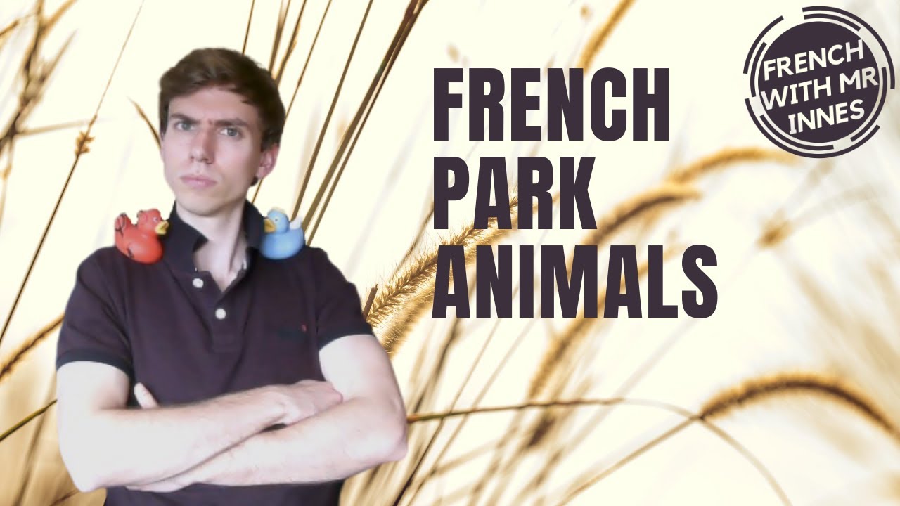 PARK ANIMALS // Learn French Basics Day 21 - for beginners and kids