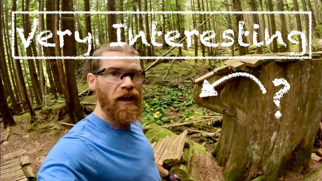 Treasure Trail has serious options for progression
