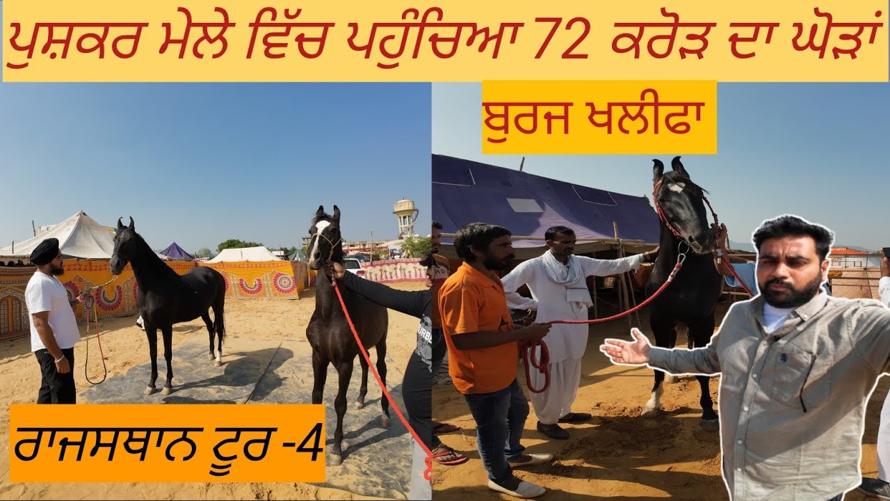 Pushkar mela ।।72 cr da ghoda।Burj Khalifa।।