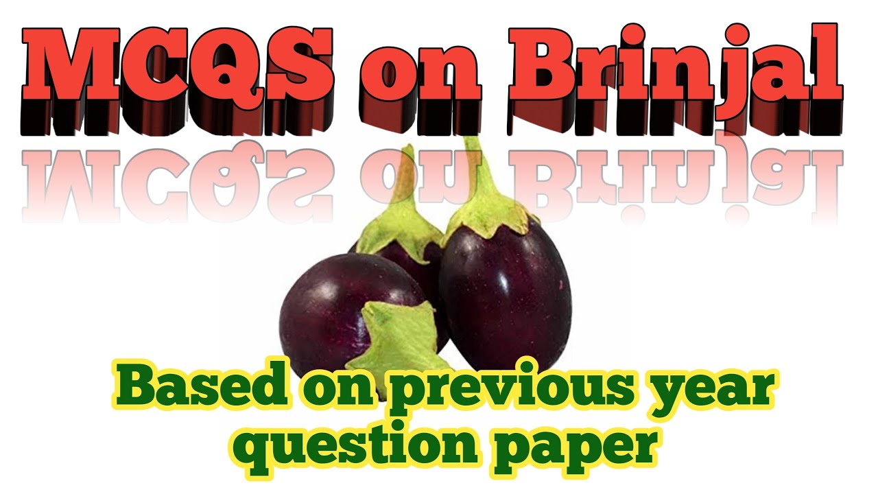 MCQS on Brinjal II MCQS Vegetable Crop