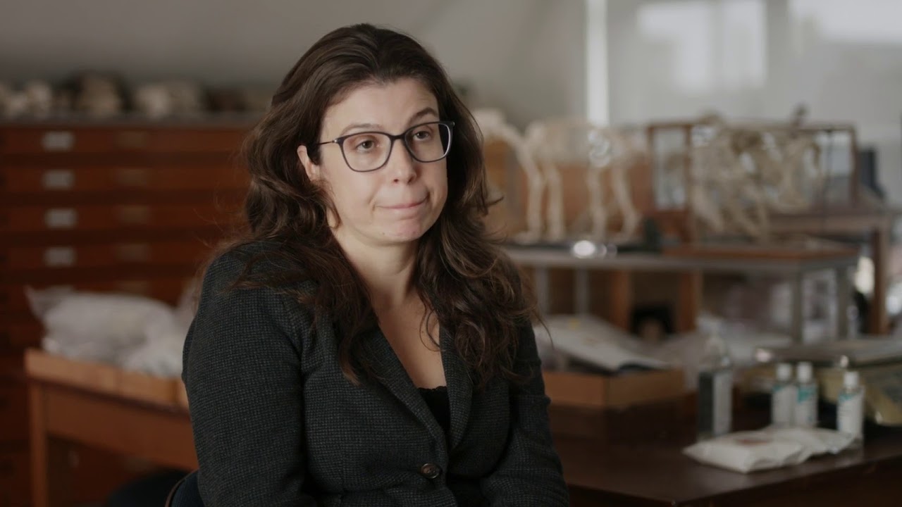 Zooarchaeology Research Master University of Groningen
