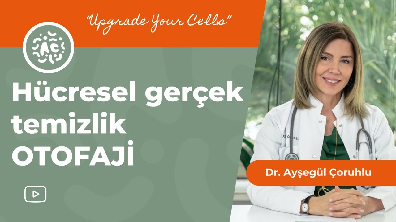 H&uuml;cresel ger&ccedil;ek temizlik (OTOFAJİ)