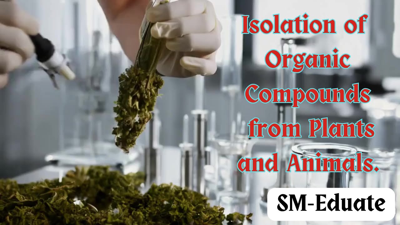 Isolation of Organic Compounds from Plants and Animals | #chemistry