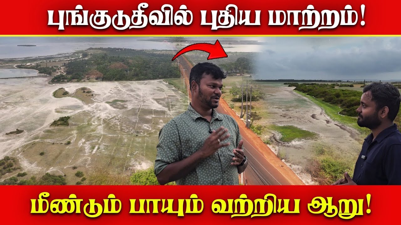 புங்குடுதீவில் நீர்நிலை புனரமைப்பு! சமூக ஆர்வலர் நிமல் ராகவன் வருகை! | Punkudutivu  | Nimal Raghavan