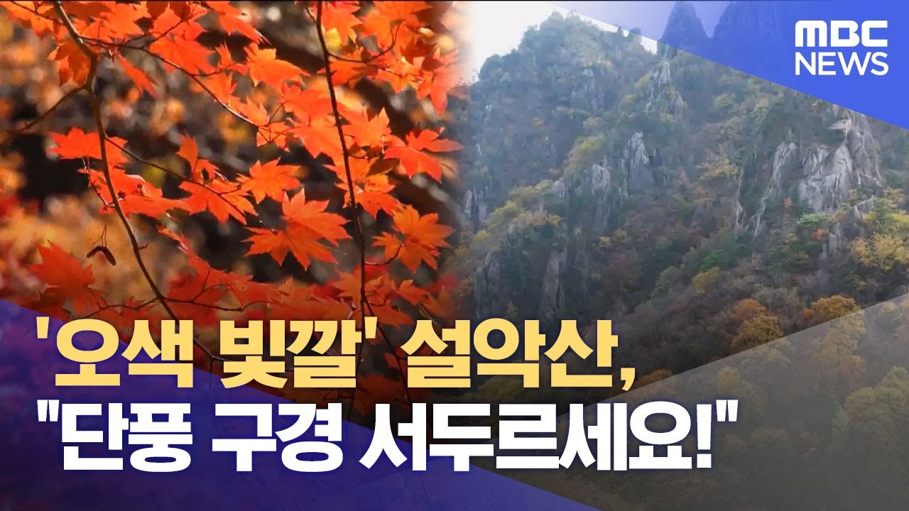 '오색 빛깔' 설악산, 