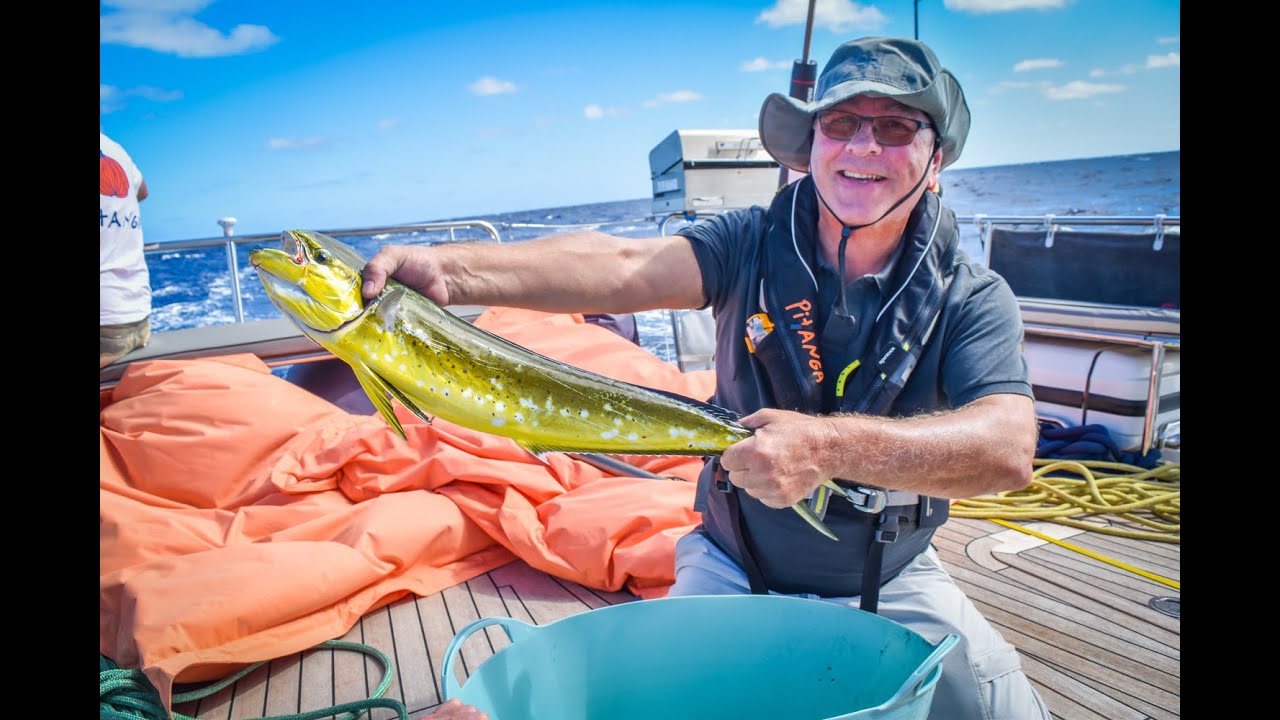 ARC 2018 - our Atlantic crossing with S/Y Pitanga
