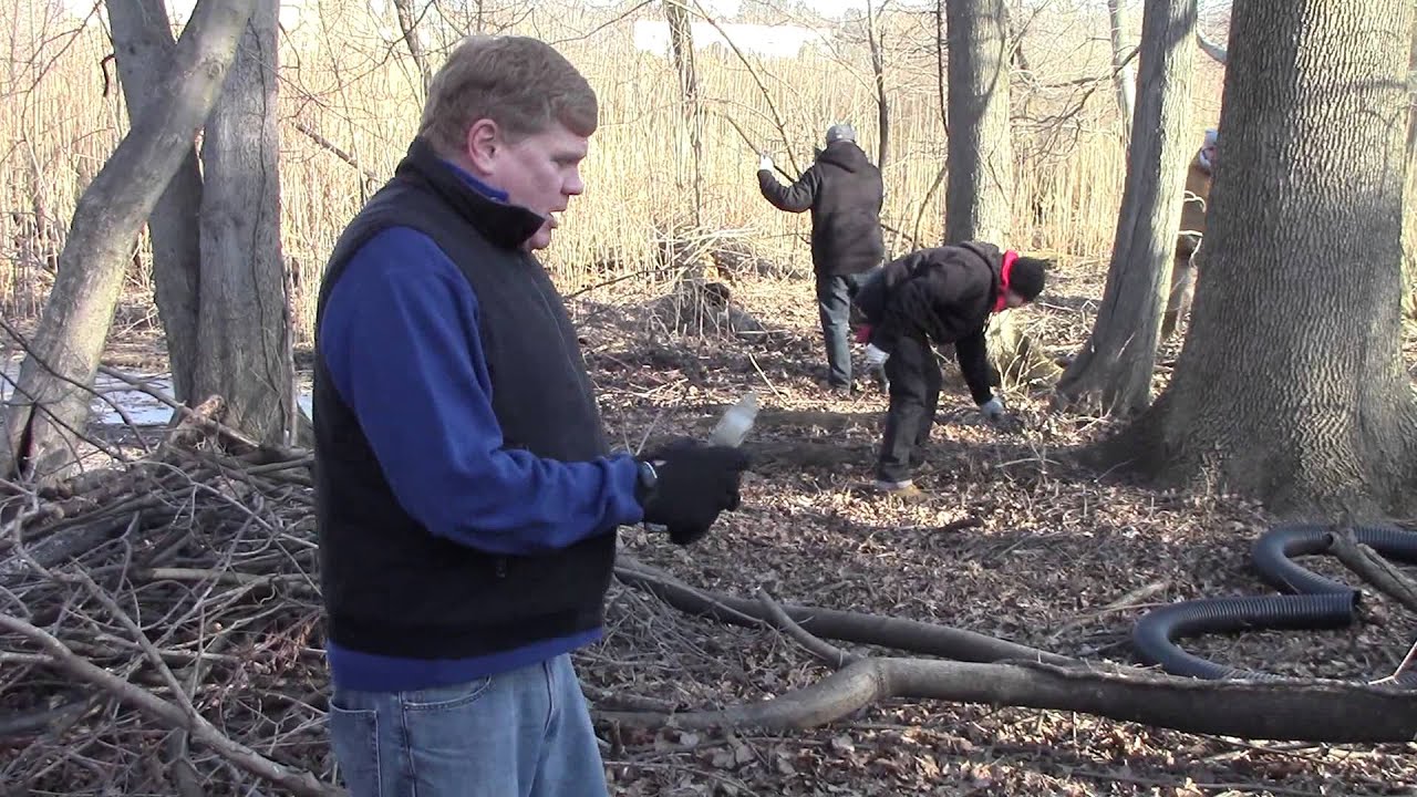 Construction of Brush piles for Wildlife Habitat