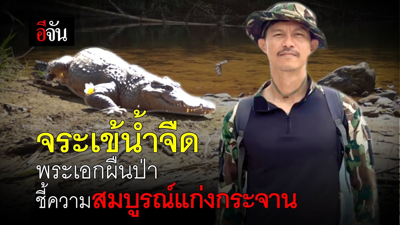 จระเข้น้ำจืด พระเอกผืนป่า ชี้ความสมบูรณ์ ป่าเเก่งกระจาน | อีจัน EJAN
