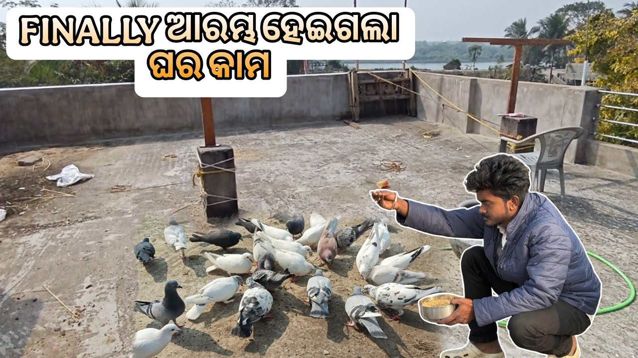 Finally ଆରମ୍ଭ ହେଇଗଲା ଘର କାମ 😍