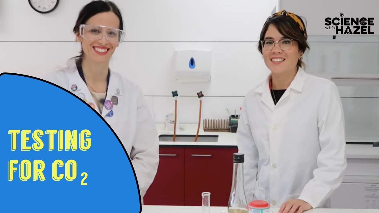 How To Test For Carbon Dioxide | Chemistry Practicals