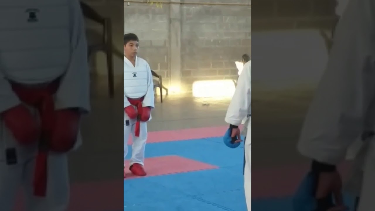 La mejor pelea de karate(1)