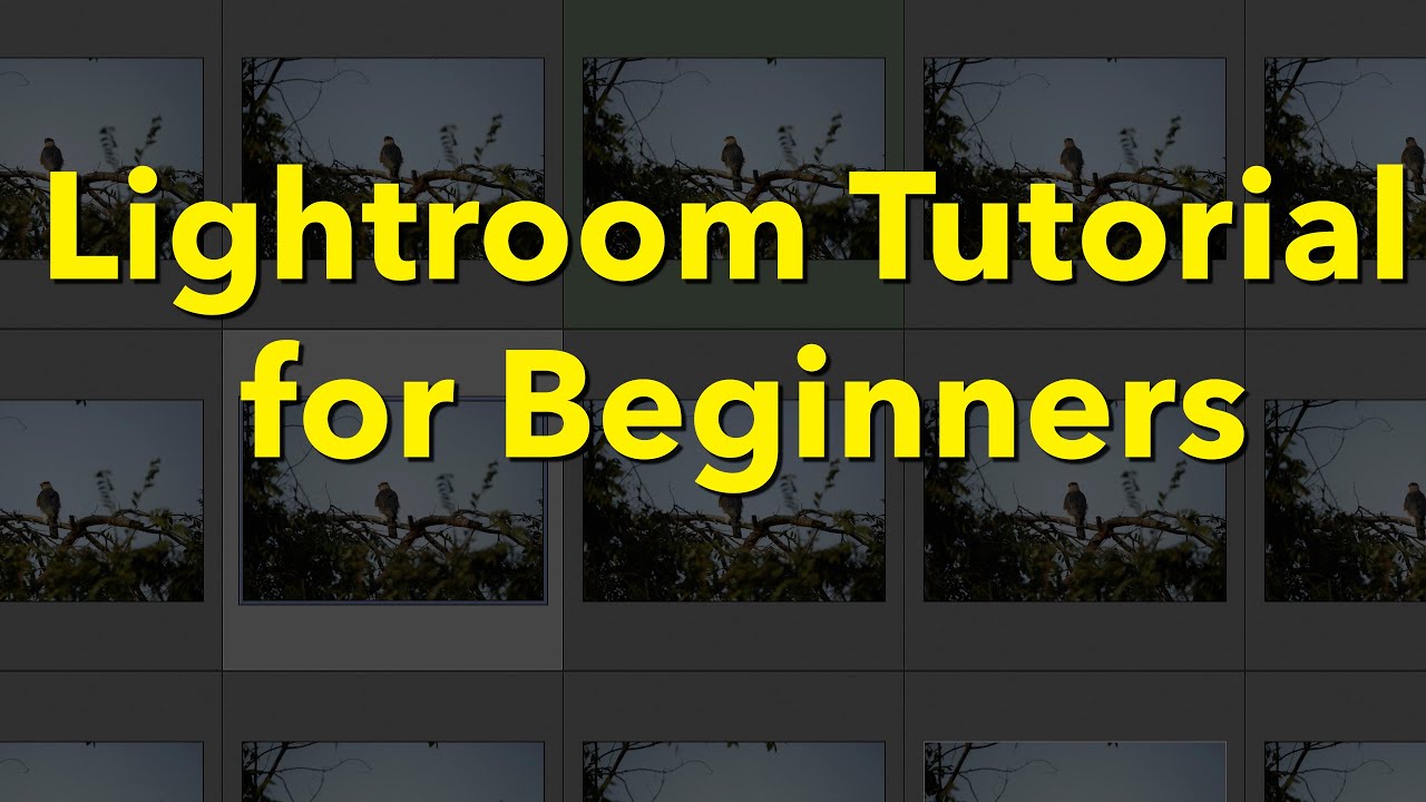Учебное пособие по Lightroom (Classic) для начинающих