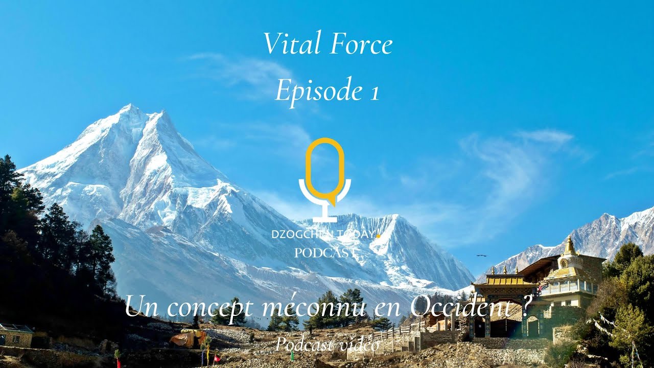 Force Vitale E01   Un concept méconnu en Occident ?