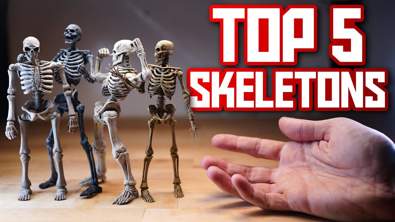 Top 5 Skeleton Action Figures! - Shooting and Reviewing
