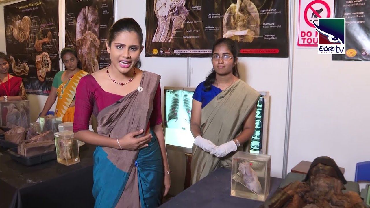 අසිරිමත් මිනිස් සිරුර / Amazing Human Body