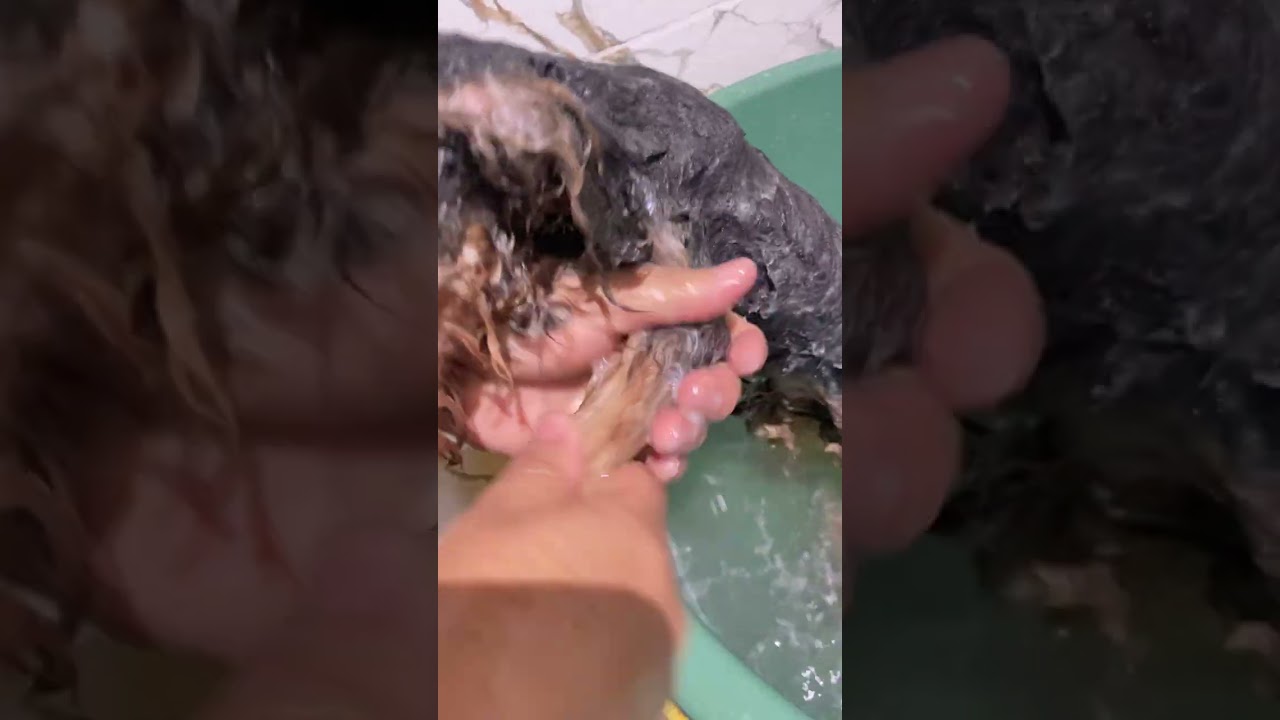 Hora banho chato kkkkkkk