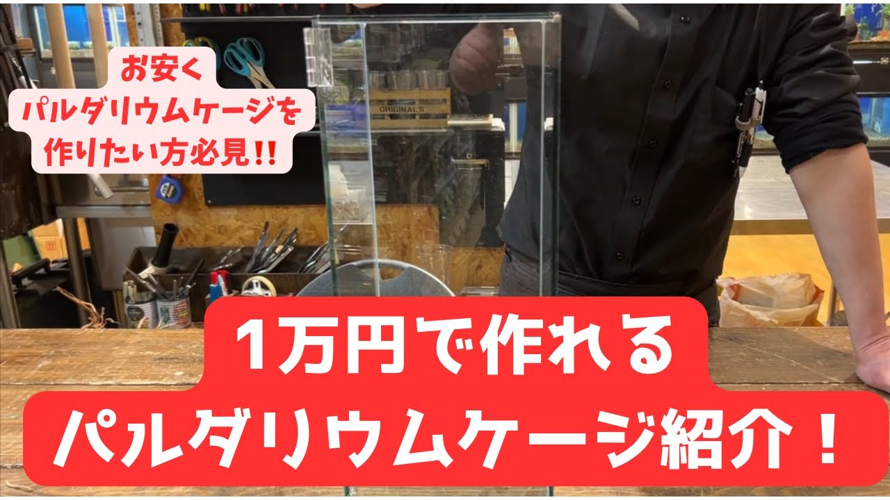 【パルダリウム製作 #1】1万円で作れちゃう！？パルダリウムケージ紹介&そのケージで作品を作っていこう！！