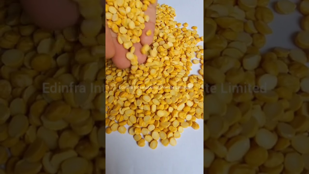 Chana Dal Available for Export