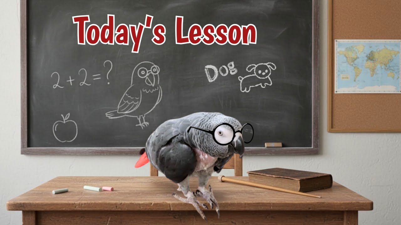 Professor Einstein Parrot Teaches Animal Sounds 101 🐦📚