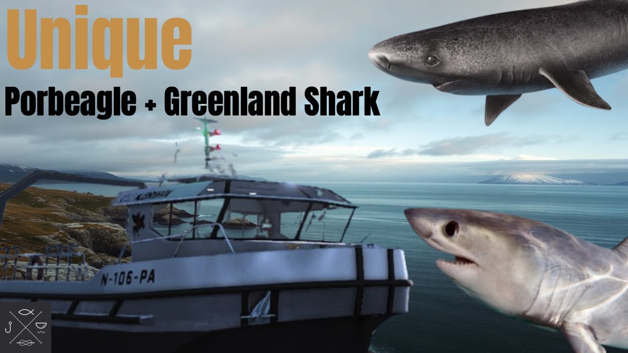 Unique Greenland Shark + Unique Porbeagle Shark HOTSPOT - Fishing Planet